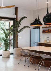 a kitchen with a table and two potted plants at 5BR Exclusive Beachfront Villa with Pool in Tulum in Balcheil