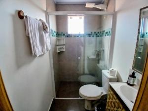 a bathroom with a shower and a toilet and a sink at Conforto e Praticidade, Studio para 2 pessoas in Ponta Grossa