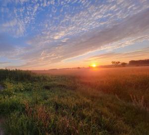 a field with the sun setting in the horizon at Peaceful Pasture Farm in Fort Edward