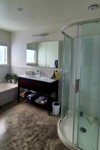 a bathroom with a sink and a shower at Ginrosa B and B accommodation in Featherston
