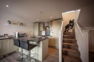 a dog sitting on the stairs of a kitchen at Ard Dhub House Your 3 Bedroom cottage retreat in Waternish in Hallin