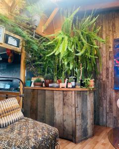 a room with plants on a wooden wall at Yagan house in Puerto Natales