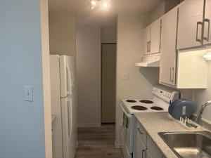 eine Küche mit weißen Schränken und einem Herd mit Backofen in der Unterkunft EasyStay in Sherbrooke + 12 Fotos