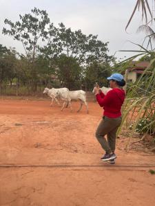 a woman riding a skateboard with two sheep on a dirt road at Authentic Joe homestay in Siem Reap