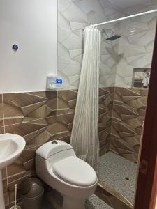a bathroom with a toilet and a sink and a shower at Flamante Atardecer in Paracas