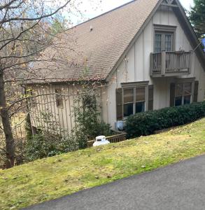 a white house with a dog sitting in the yard at Chalet Suzanne in Helen
