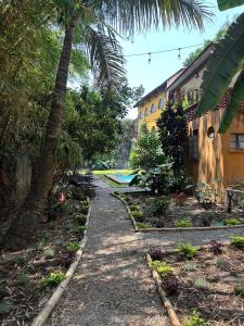 a garden with a palm tree and a building at Casa Madero Rooms in Cuernavaca