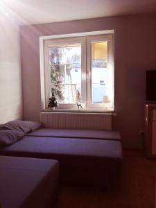 Televízia a/alebo spoločenská miestnosť v ubytovaní Apartament Patryk + 11 fotografií