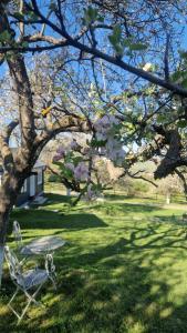 a chair sitting in the grass under a tree at Tiny Nest in Filioara