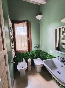 a green bathroom with a toilet and a sink at Casa Rosa in San Costanzo