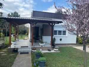 a house with a pergola in the yard at Tomi Apartman in Velence
