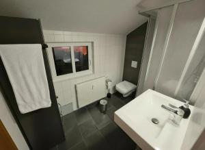 a bathroom with a sink and a toilet at Ferienwohnung Feenblick in Kurort Altenberg +14 photos
