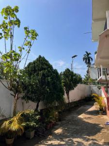 a street with trees and plants next to a building at Green Stay,AC room in Sibsāgar +6 photos
