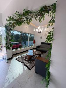 a living room with a couch and a table at Yercaud Rathna Residency in Yercaud