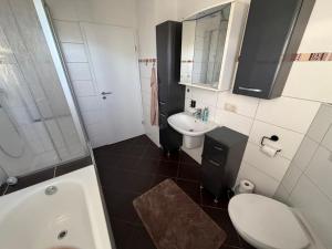 a bathroom with a toilet and a sink and a shower at Ferienwohnung Alina in Hilders +10 photos