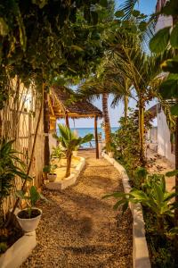 a pathway leading to a beach with trees and a building at ZAN Jambiani Beach House in Jambiani