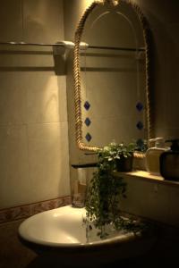a bathroom with a sink with a plant on it at Behomestay in Hai Phong +33 photos