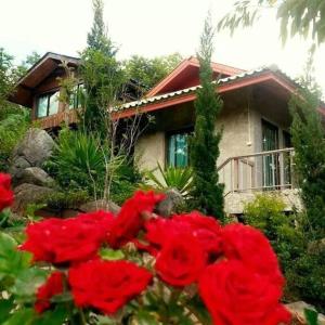 a house with red flowers in front of it at Monkeaw in Mae On