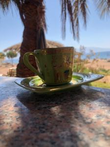 a green coffee cup sitting on a plate on a table at Palm Valley camp in Nuweiba‘ el Muzeinah +83 photos