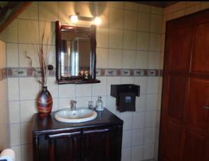 a bathroom with a sink and a mirror and a vase at Khumbula iAfrica 1 in Marloth Park