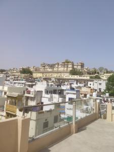 a view of a city from the roof of a building at Lighthouse Hostel in Udaipur