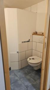 a bathroom with a white toilet in a room at Ferienwohnung Dorfleben in Weiler-Simmerberg