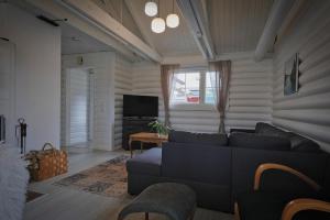 a living room with a couch and a television at Venetsianranta in Saarijärvi
