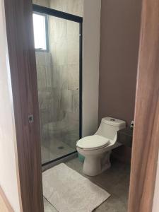 a bathroom with a toilet and a glass shower at Departamento Torre el Morado MAS EXPERIENCIA A CABALLO in La Concepción