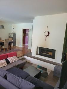 a living room with two couches and a fireplace at Peaceful Vosges heaven in Granges-Aumontzey