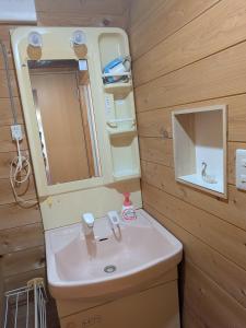 a bathroom with a sink and a mirror at のんびれっじ つくし棟 in Anazawa