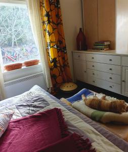 a bedroom with a bed with a window and a dresser at Päivärannantila in Pihtipudas