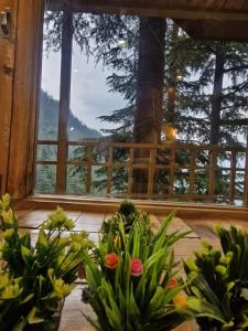 a room with a window with some plants in front at Ananta Valley Home's in Kulu