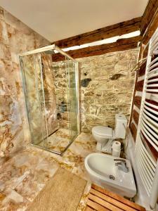 a bathroom with a shower and a toilet and a sink at Wellness Roubenka u Obory in Svratouch +19 photos