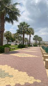 a brick walkway with palm trees in a park at مشارف الفخامة أبها - Masharef AlFakhama ABHA in Abha