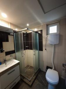 a bathroom with a shower and a toilet and a sink at RA Apartmani Vrdnik in Vrdnik +19 photos