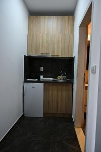 a small kitchen with a sink and a refrigerator at RA Apartmani Vrdnik in Vrdnik