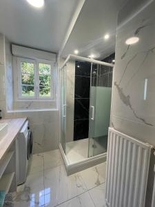 a bathroom with a walk in shower and a glass shower stall at Le Rennes Gare in Rennes
