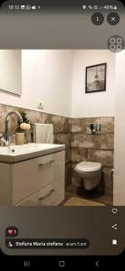 a bathroom with a sink and a toilet at Vila Francisca10 in Alba Iulia +25 photos