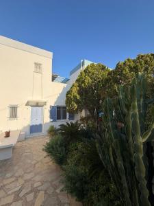 a cactus in front of a white building at La SyRosA in Vári