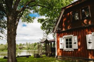 an old house with a tree next to a lake at Kupiškio marių vila in Aukštupėnai