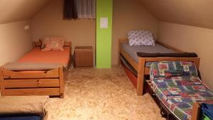 two beds in a room with green walls at Casa Wylak Winery in Uileacu de Criş