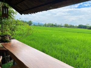 a view of a field of green grass at บ้านสวนภูรจิตร Baansuanphurajit in Ban Nong Pa Kha +7 photos