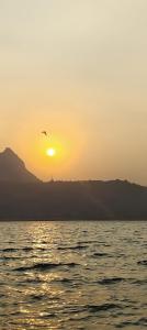 a bird flying over the ocean at sunset at The Alibag Beach hotel- Grantley in Alībāg