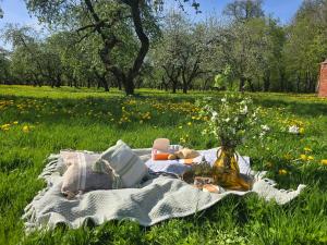 a blanket with a baby doll sitting on it on a field at Žemosios Panemunės dvaro sodininko namas in Žemoji Panemunė