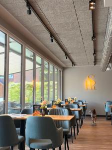 a dining room with tables and chairs and windows at Schlüter Hotel & Restaurant in Wankendorf