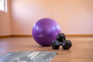 a purple ball and two black cubes on a wooden floor at Kindrogan House in Straloch