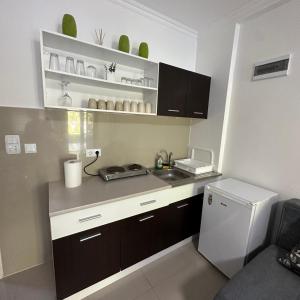 a small kitchen with a sink and a refrigerator at Vila Plaza-1 in Bela Crkva