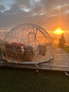 an iguana in a glass dome sitting on a wooden deck at Panorama-Bubble Klewenalp in Beckenried