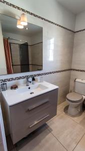 a bathroom with a sink and a toilet and a mirror at Maison Paillette à Saint Saturnin in Saint-Saturnin-lès-Avignon +11 photos