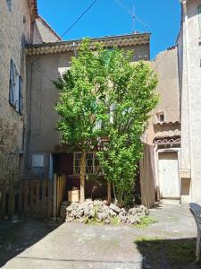 a tree in the courtyard of a building at 3 la Placette in Varages